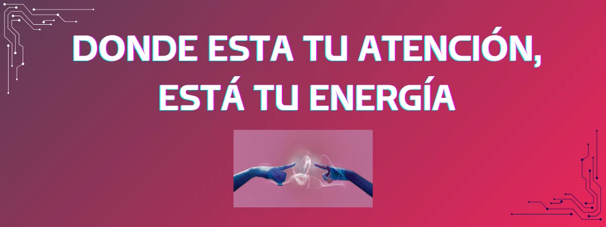 Programa 4