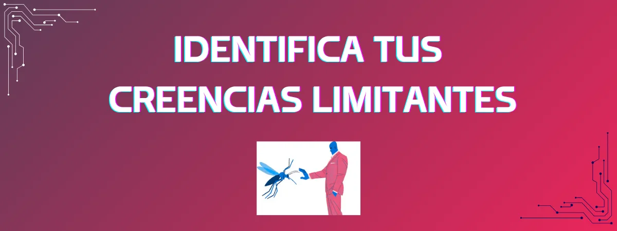 Programa 5
